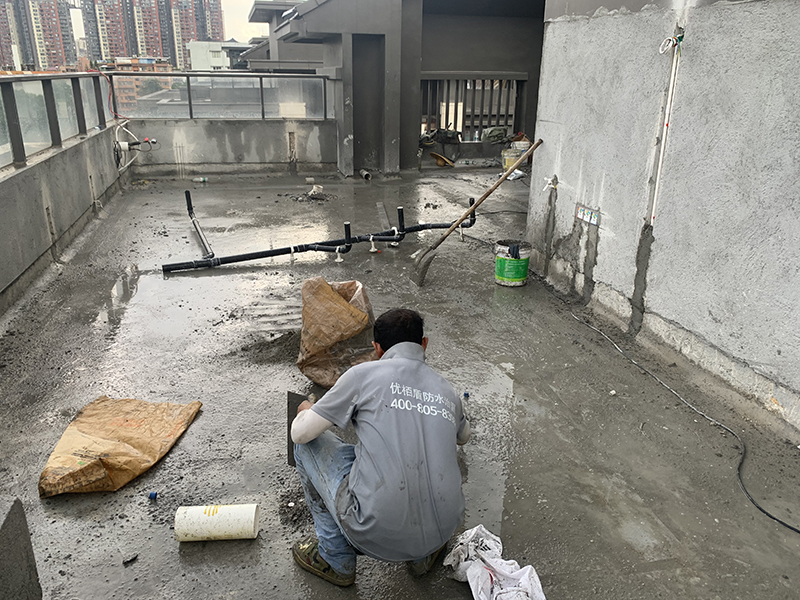 微信图片_20240810155726 拷贝.jpg
